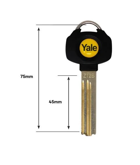 Yale Platinum 3 Star 10 pin (z12B) PD/PE/PF CODES