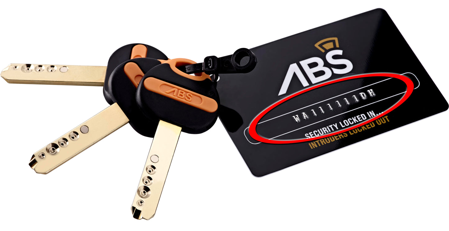 Avocet ABS High security cylinders replacement keys cut to code